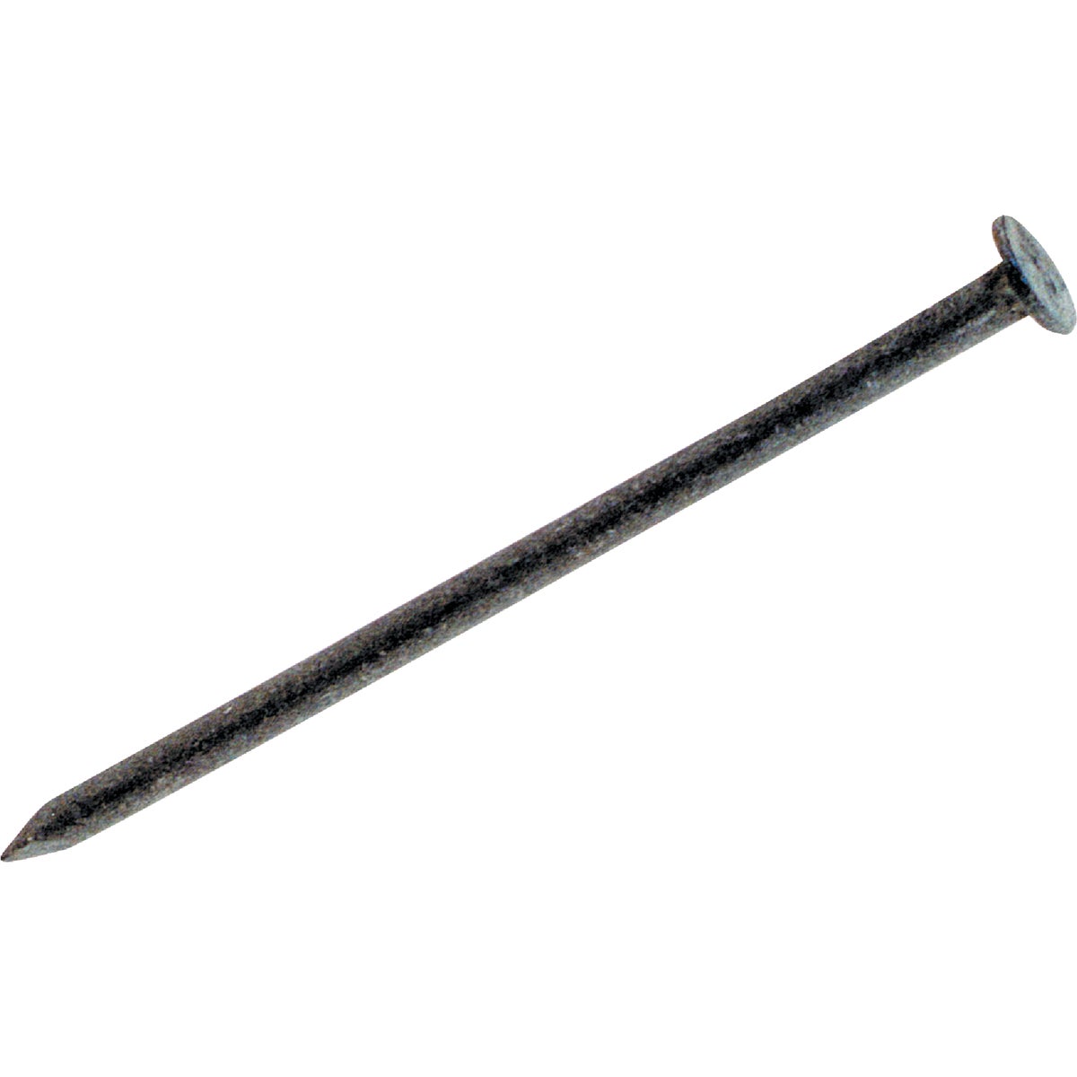 Do it Best 3-1/2 In. x 10 ga x 16d Hot Galvanized Box Nails (3550-Count, 50 Lb.)