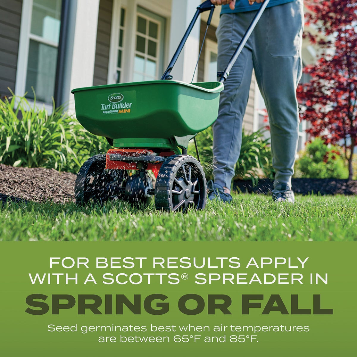 Scotts Turf Builder 5.6 Lb. 465 Sq. Ft. Tall Fescue Mix Grass Seed, Fertilizer, and Soil Improver Combination Image 4