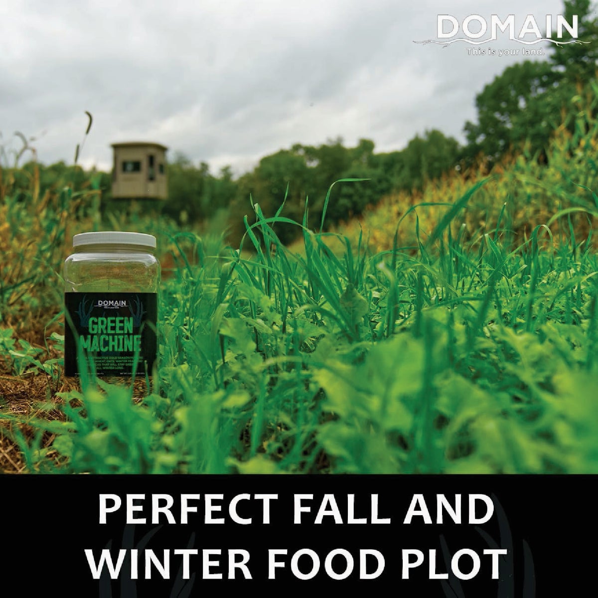 Domain Green Machine 5.25 Lb. 1/4 Acre Food Plot Seed Image 2