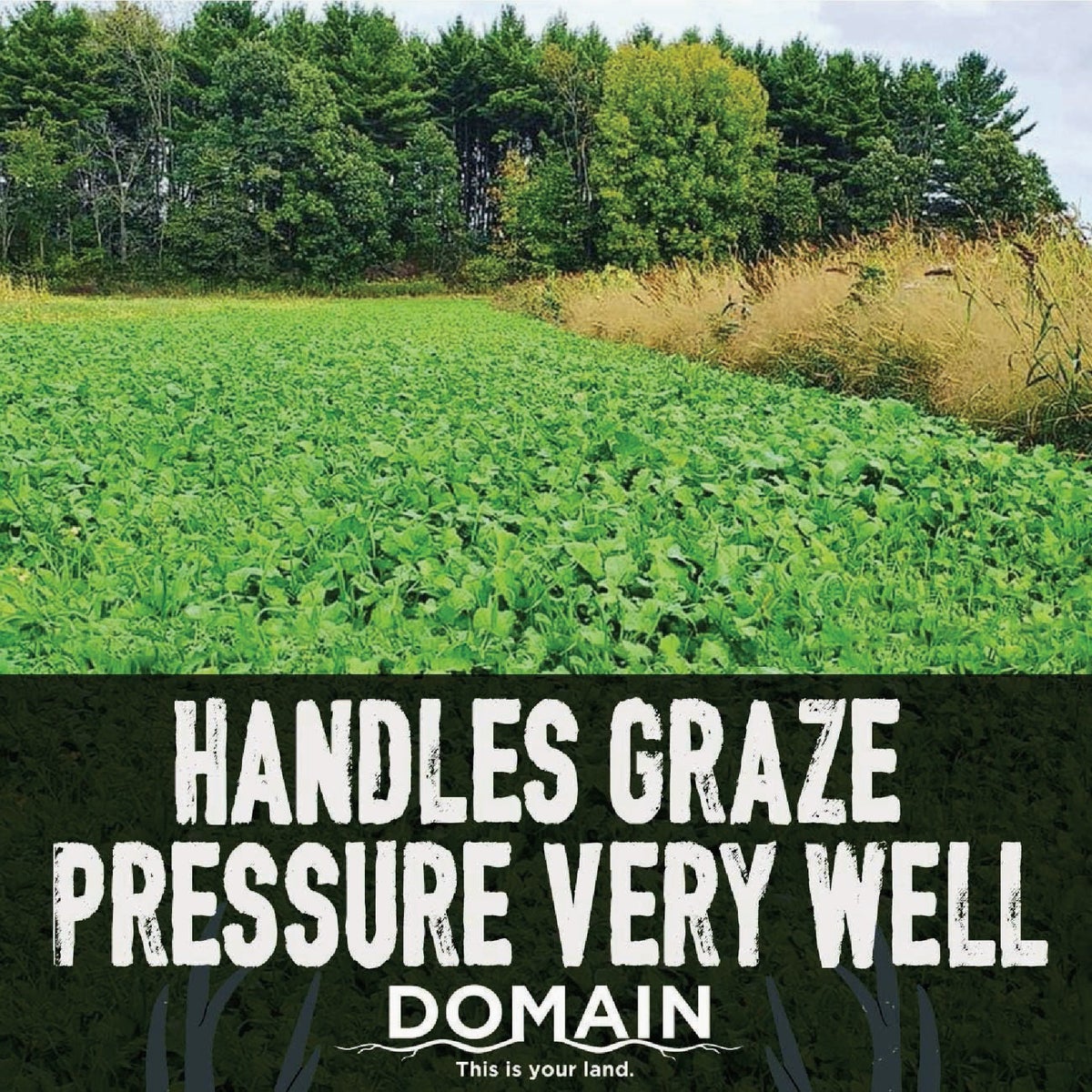 Domain Green Machine 5.25 Lb. 1/4 Acre Food Plot Seed Image 3