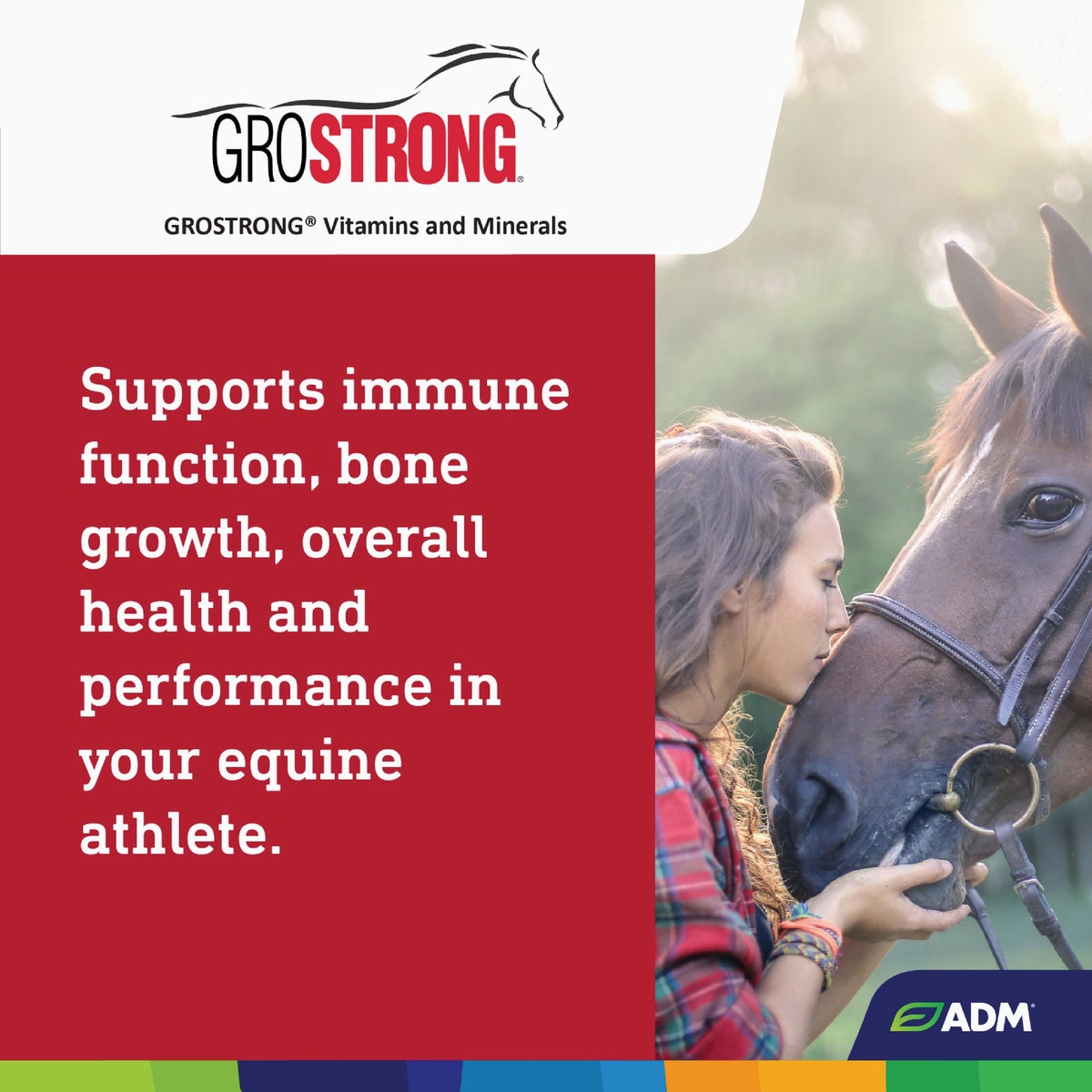 GroStrong 25 Lb. Horse Mineral Image 4