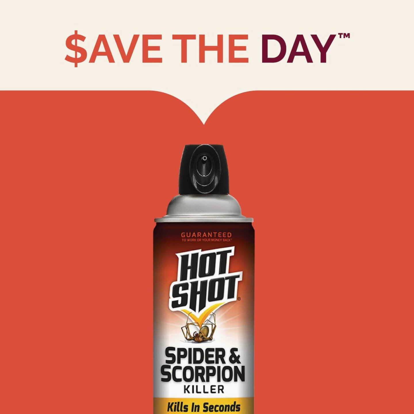 Hot Shot 16 Oz. Aerosol Spray Spider & Scorpion Killer Image 3
