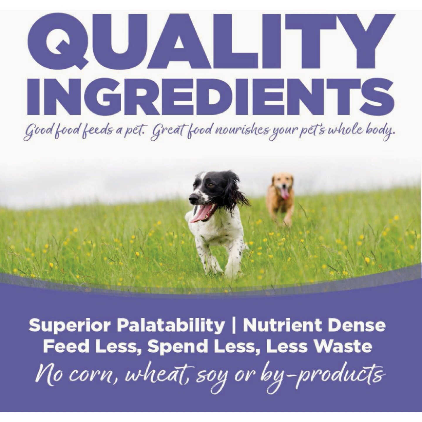 NutriSource Small & Medium Breed 26 Lb. Puppy Food Image 2