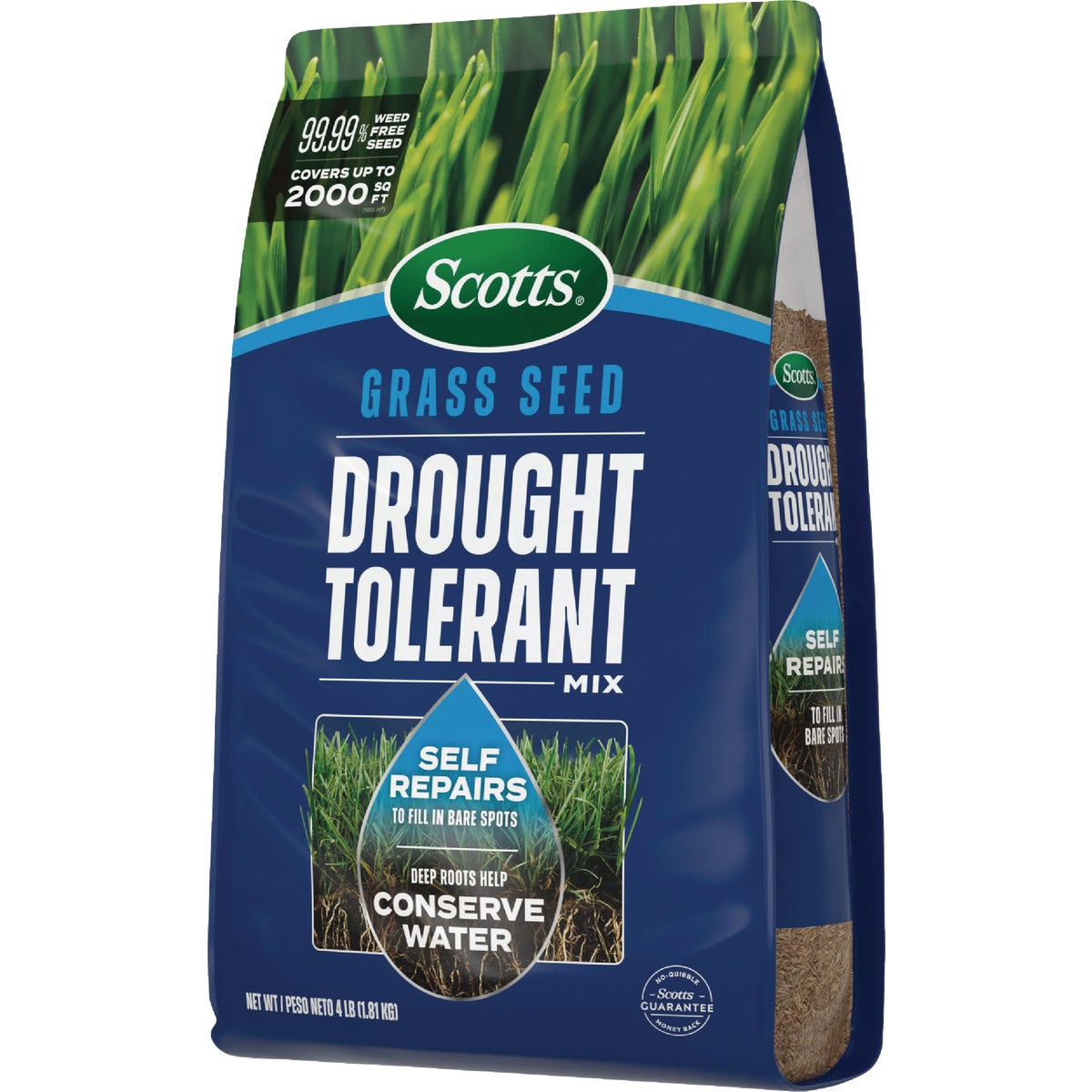 Scotts 4 Lb. 2000 Sq. Ft. Tall Fescue & Kentucky Bluegrass Drought Tolerant Grass Seed Mix Image 6