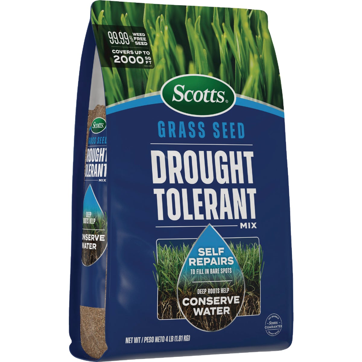Scotts 4 Lb. 2000 Sq. Ft. Tall Fescue & Kentucky Bluegrass Drought Tolerant Grass Seed Mix Image 4