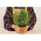PlantBest 4.5 In. Coconut Coir Plantable Pot (6-Pack) Image 4