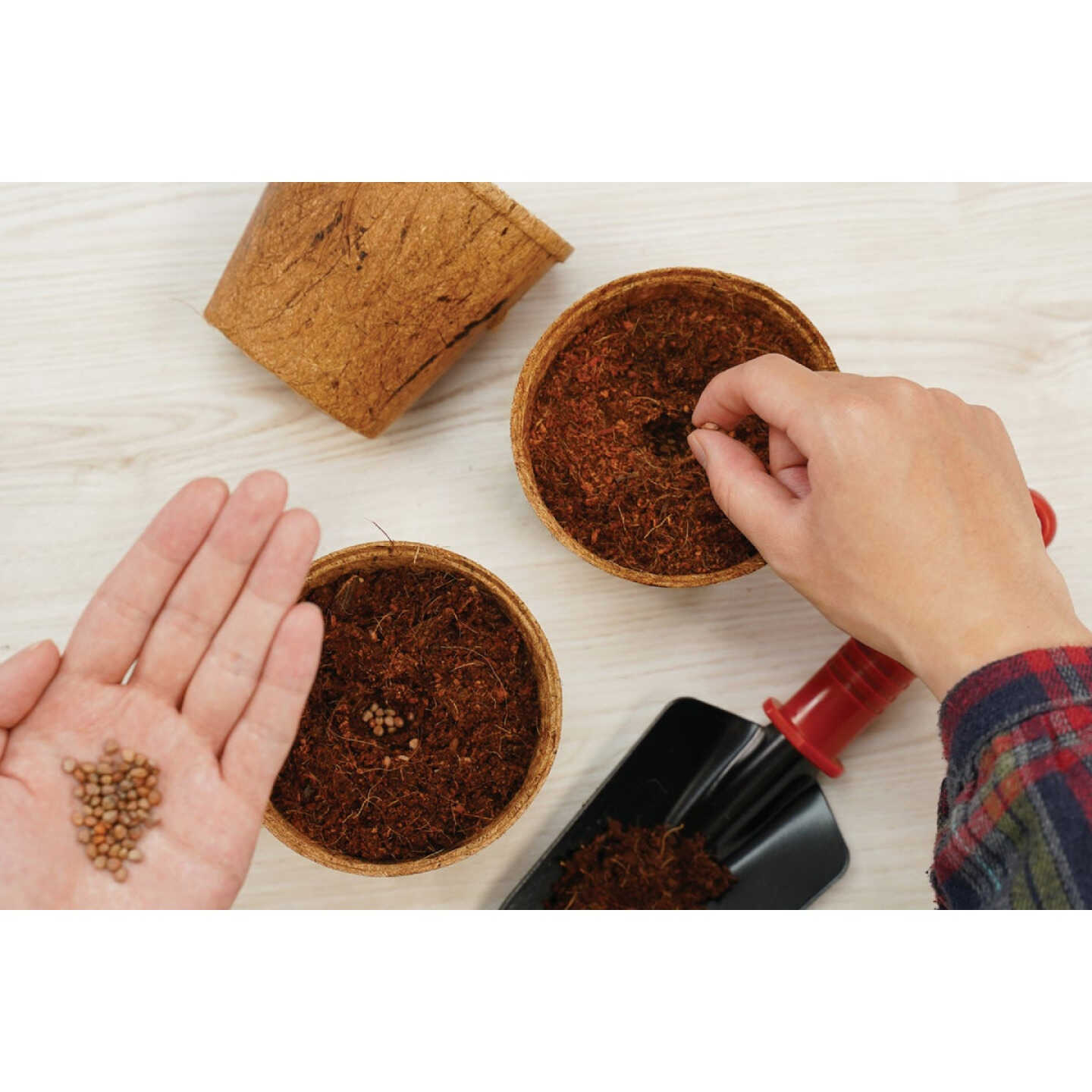 PlantBest 4.5 In. Coconut Coir Plantable Pot (6-Pack) Image 2