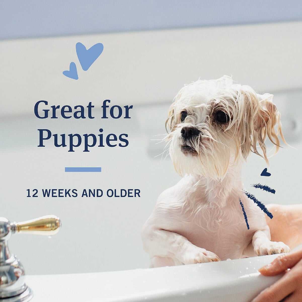 PetArmor Plus 18 Oz. Tropical Breeze Scent Flea & Tick Oatmeal Dog Shampoo Image 4