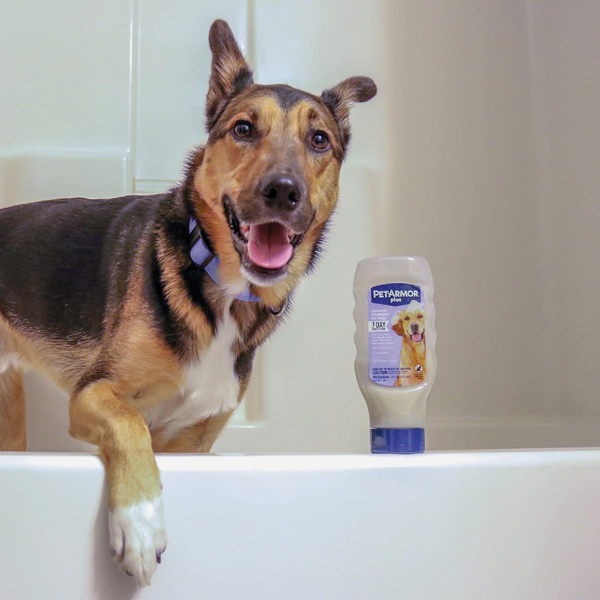 PetArmor Plus 18 Oz. Tropical Breeze Scent Flea & Tick Oatmeal Dog Shampoo Image 6