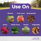 Bonide 32 Oz. Ready To Use Trigger Spray All Season Horticultural & Dormant Spray Oil Image 2