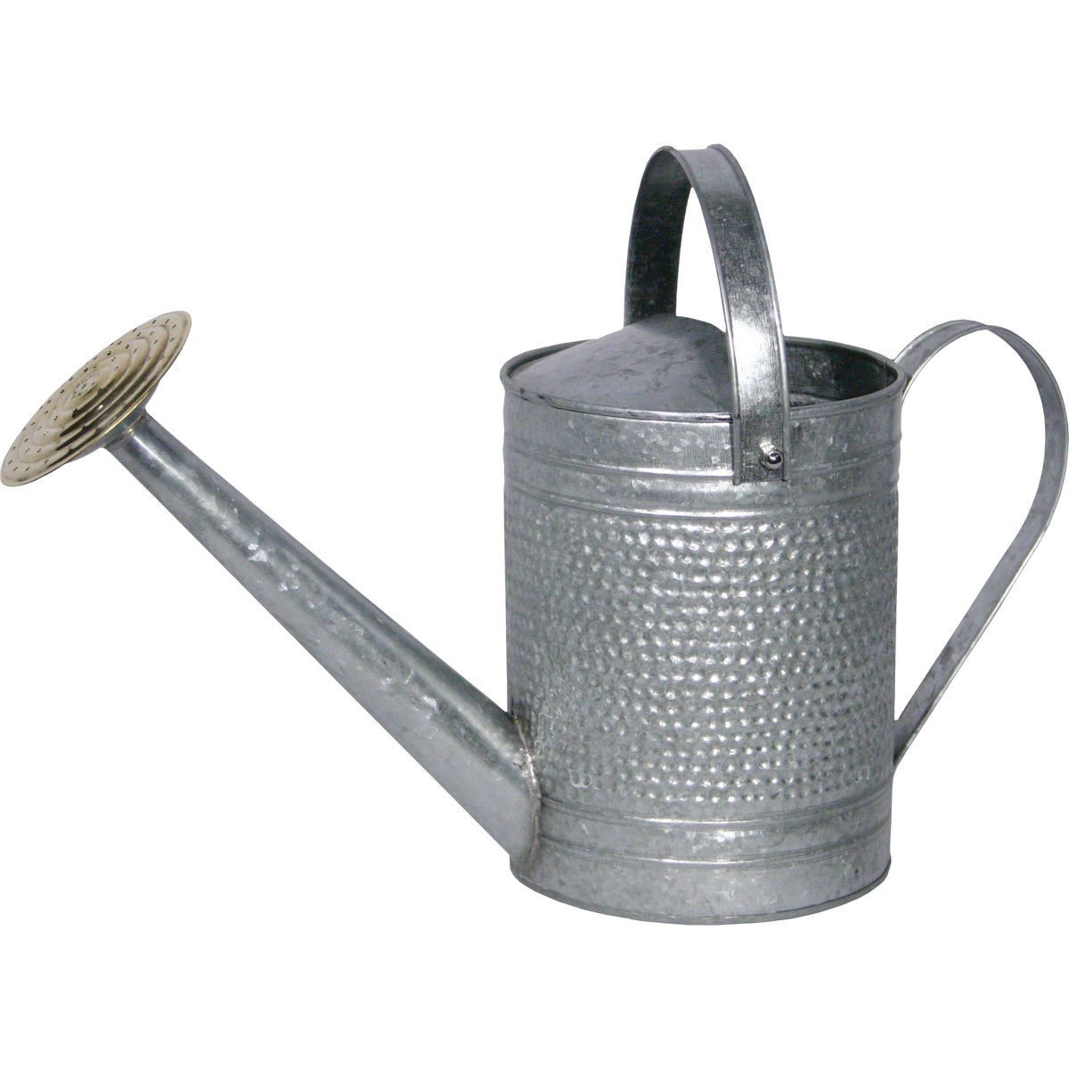 Headwind Consumer Products 1 Gal. Galvanized Jameson Watering Can