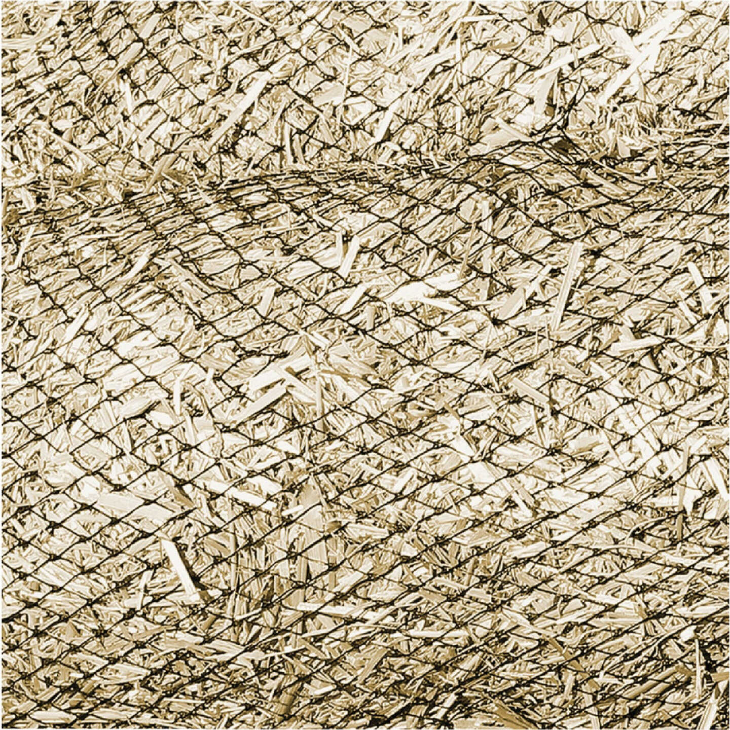 Hanes Geo 9 In. x 25 Ft. Straw Wattle Image 6