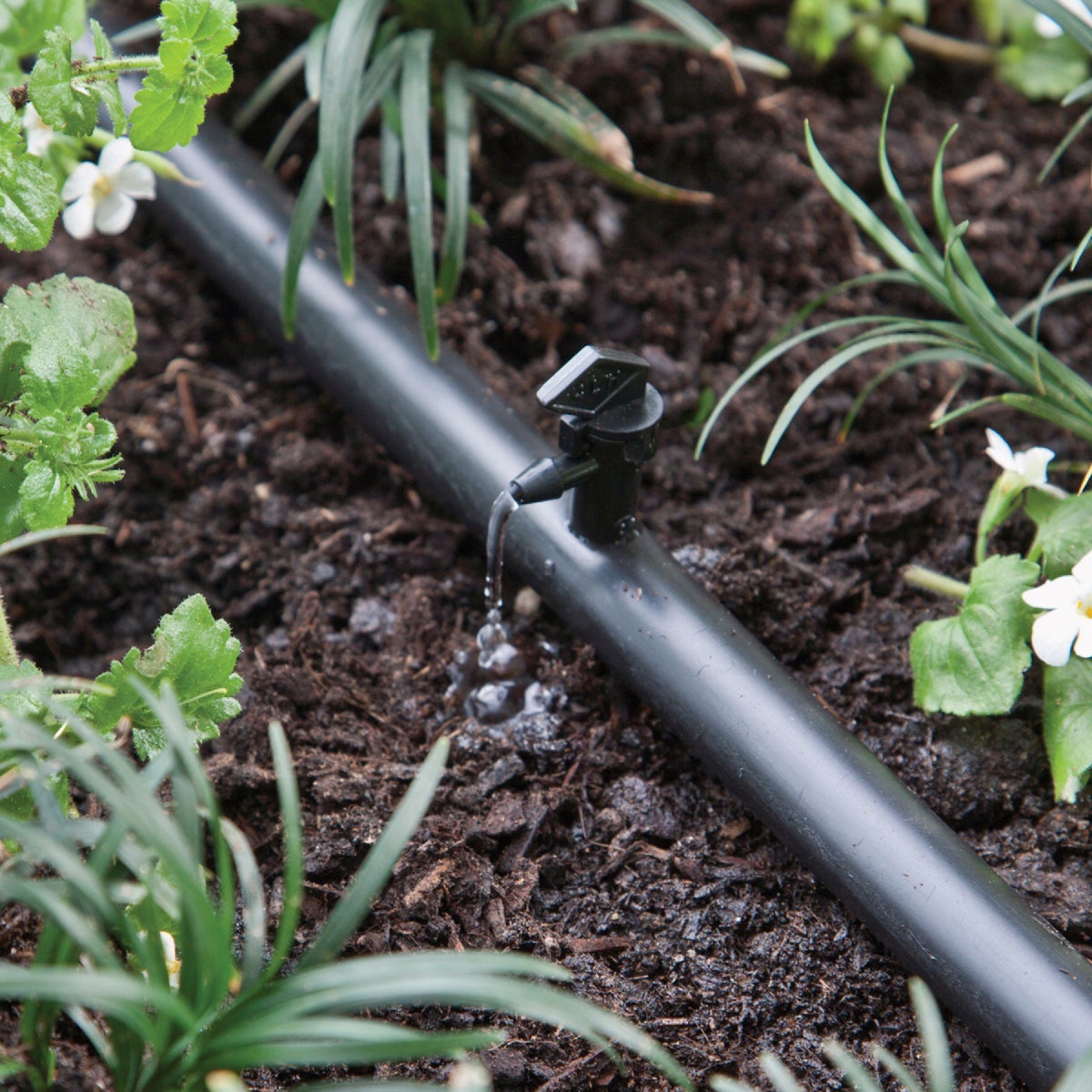 Raindrip 1 GPH Spot Drip Irrigation Dripper (25-Pack) Image 2