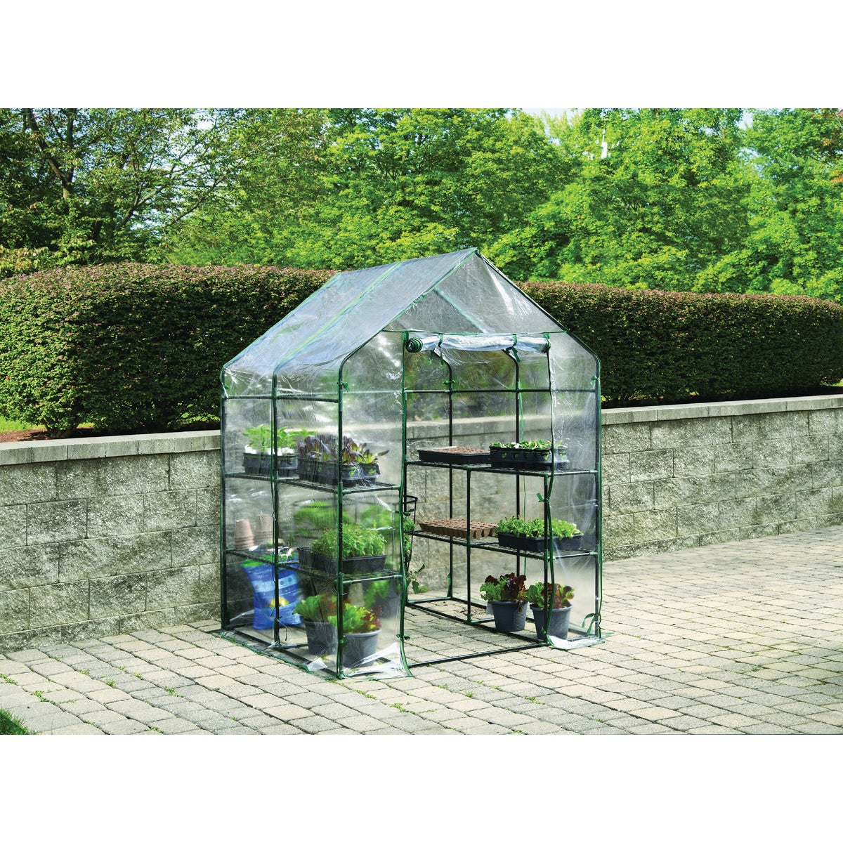 Miracle-Gro 56 In. x 56 In. x 76 In. Steel Frame Mini Greenhouse Image 2