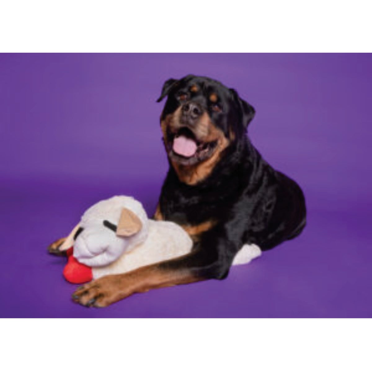 Multipet 24 In. Lamb Chop Dog Toy Image 2