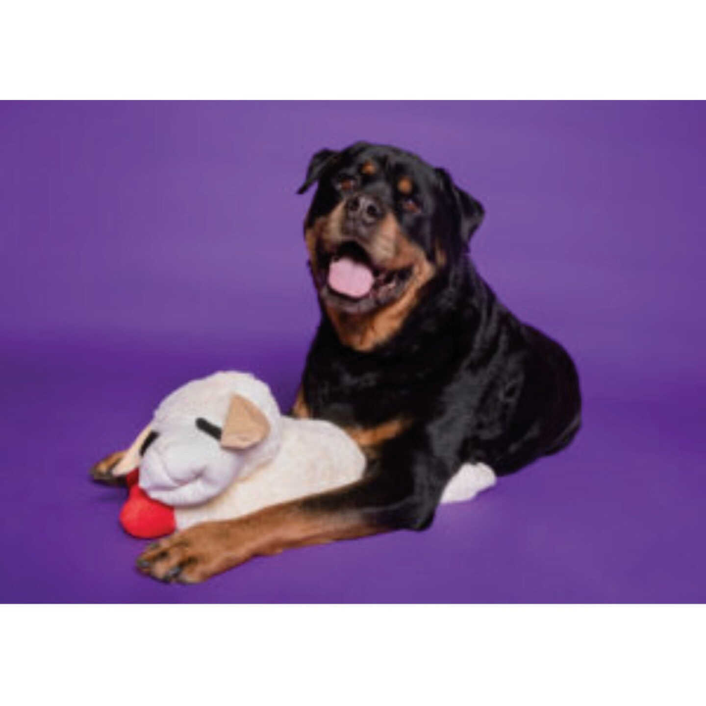 Multipet 24 In. Lamb Chop Dog Toy Image 2