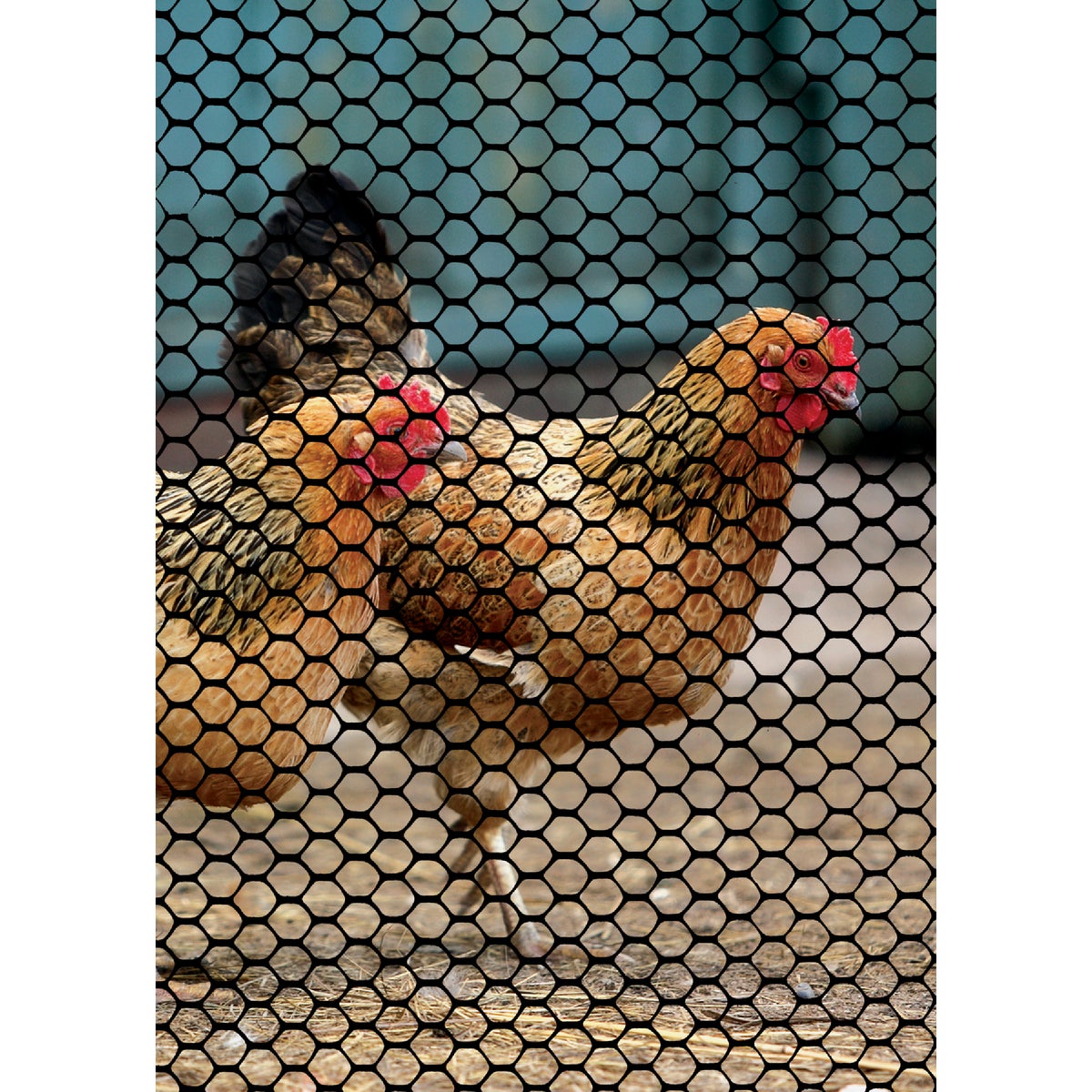 Tenax 3/4 In. x 3 Ft. H. x 25 Ft. L. Hexagonal Plastic Poultry Netting Fence, Black Image 2