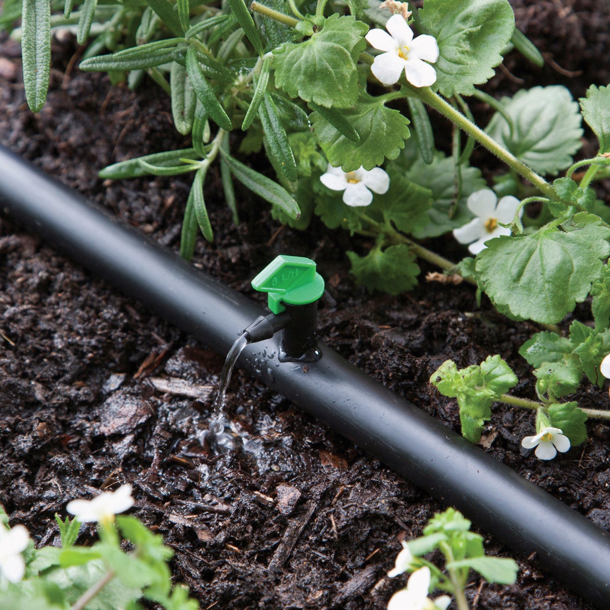 Raindrip 2 GPH Spot Drip Irrigation Dripper (25-Pack) Image 2