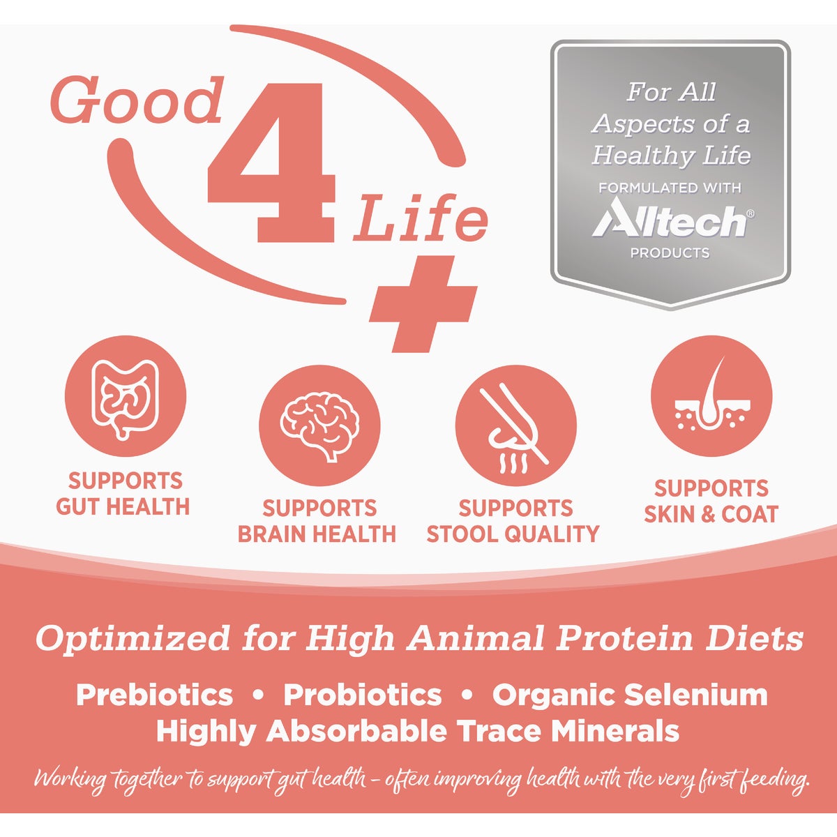 NutriSource 4 Lb. Ocean Select Recipe Grain Free Cat Food Image 3