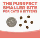 NutriSource 4 Lb. Ocean Select Recipe Grain Free Cat Food Image 6