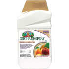 Bonide Captain Jack's 32 Oz. Concentrate Citrus, Fruit & Nut Orchard Spray Image 1