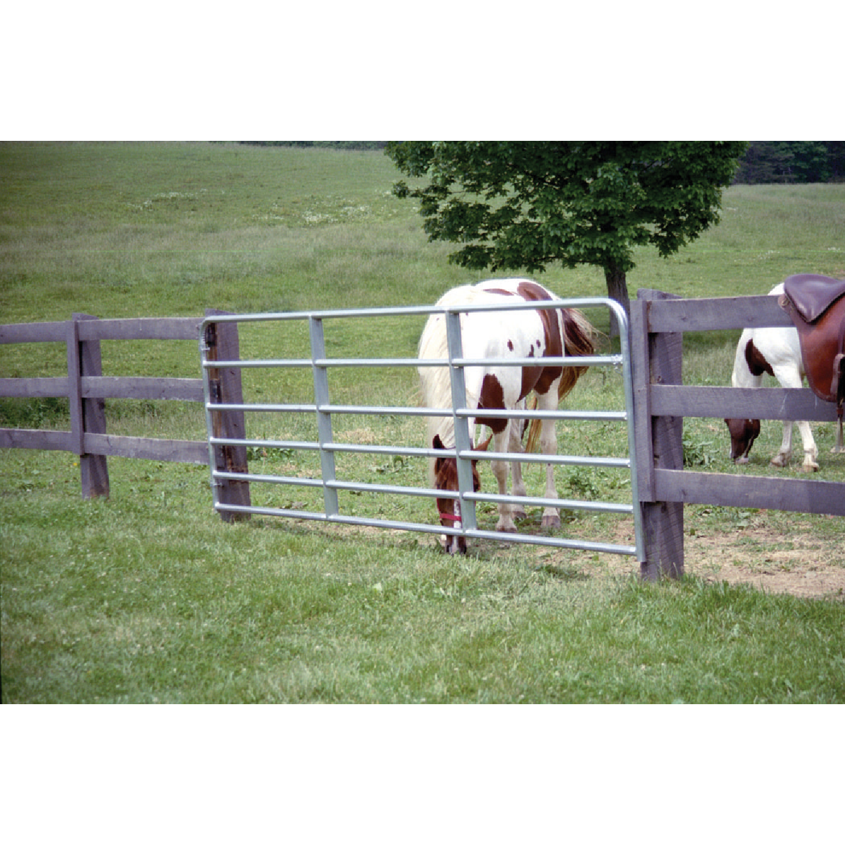 Tarter 50 In. H. x 14 Ft. L. x 1-3/4 In. Tube Diameter Galvanized Tube Gate Image 2