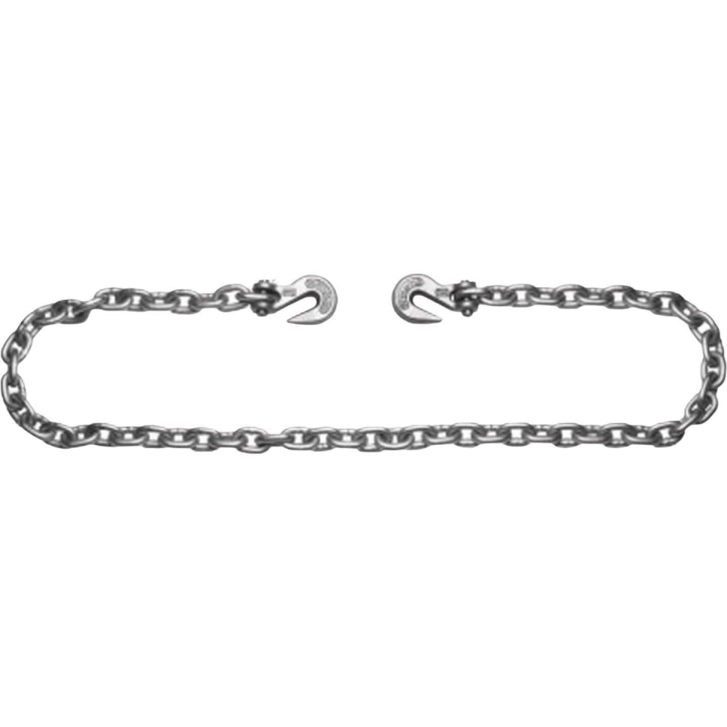 Campbell 3/8 In. x 20 Ft. Grade 43 High Test Binder Chain with Clevis Grab Hooks Image 1