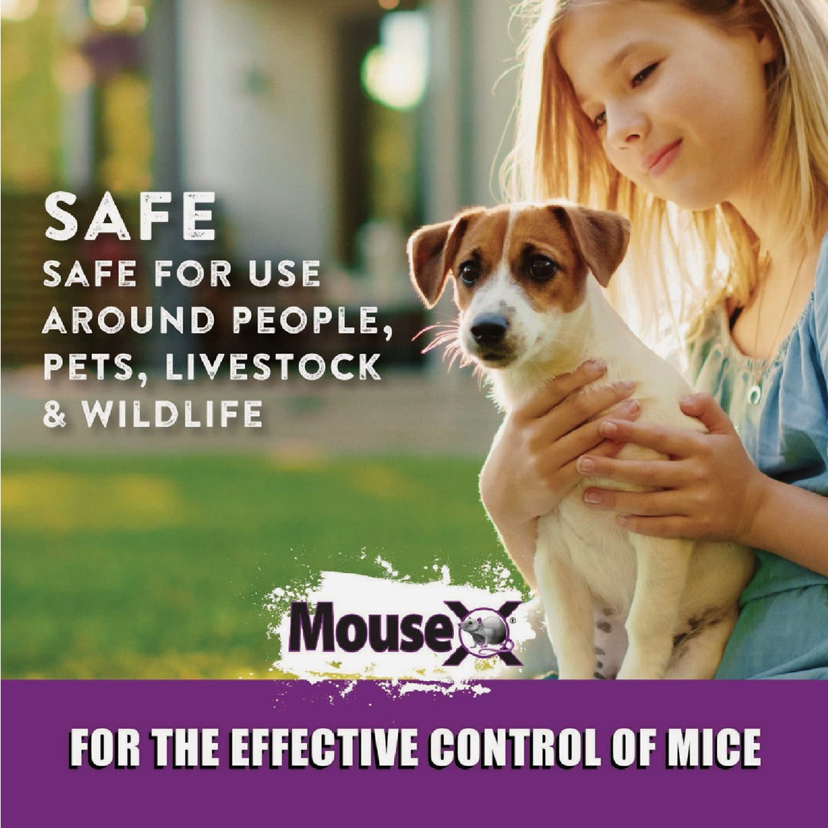 MouseX Non-Toxic Ready-to-Use Bait Trays for Mice and Rats (2-Pack) Image 3