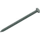 Do it Best 4-1/2 In. x 5 ga x 30d Hot Galvanized Common Nails (1100-Count, 50 Lb.) Image 1