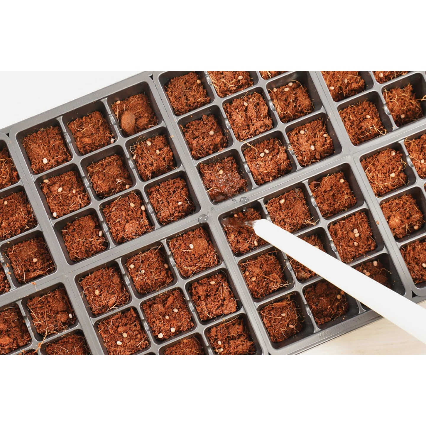 PlantBest 72-Cell Plastic Greenhouse Seed Starter Kit Image 3