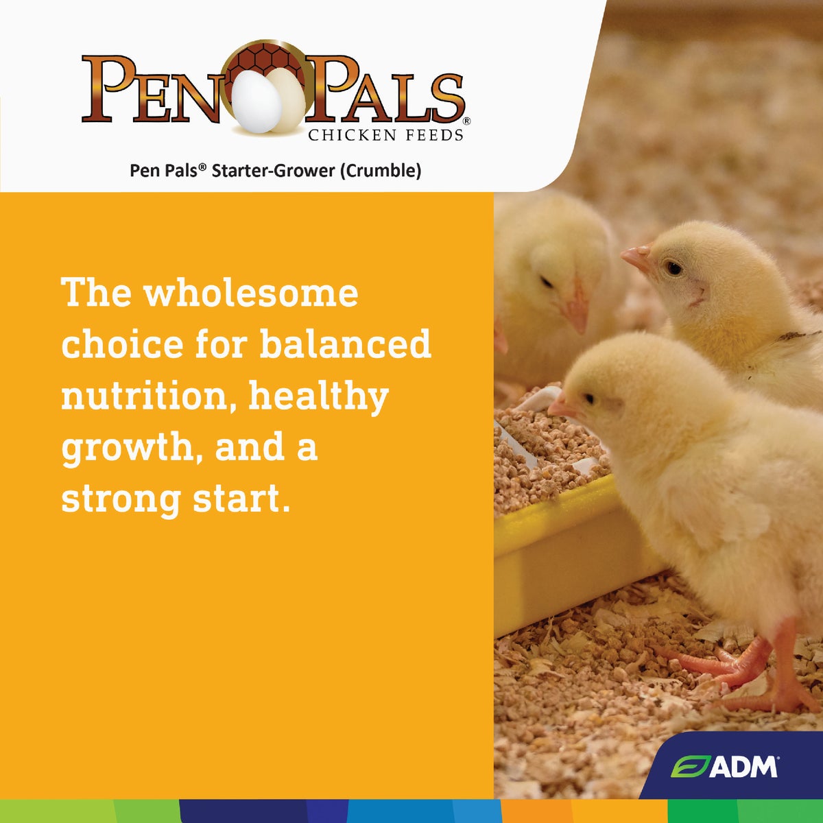 ADM Pen Pals 5 Lb. Chicken Starter/Grower Chicken Feed Image 7