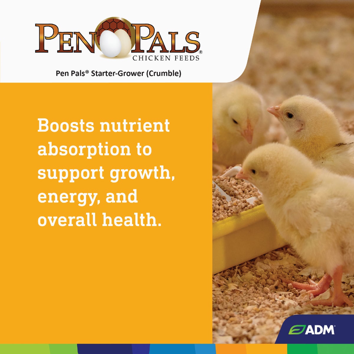 ADM Pen Pals 5 Lb. Chicken Starter/Grower Chicken Feed Image 6