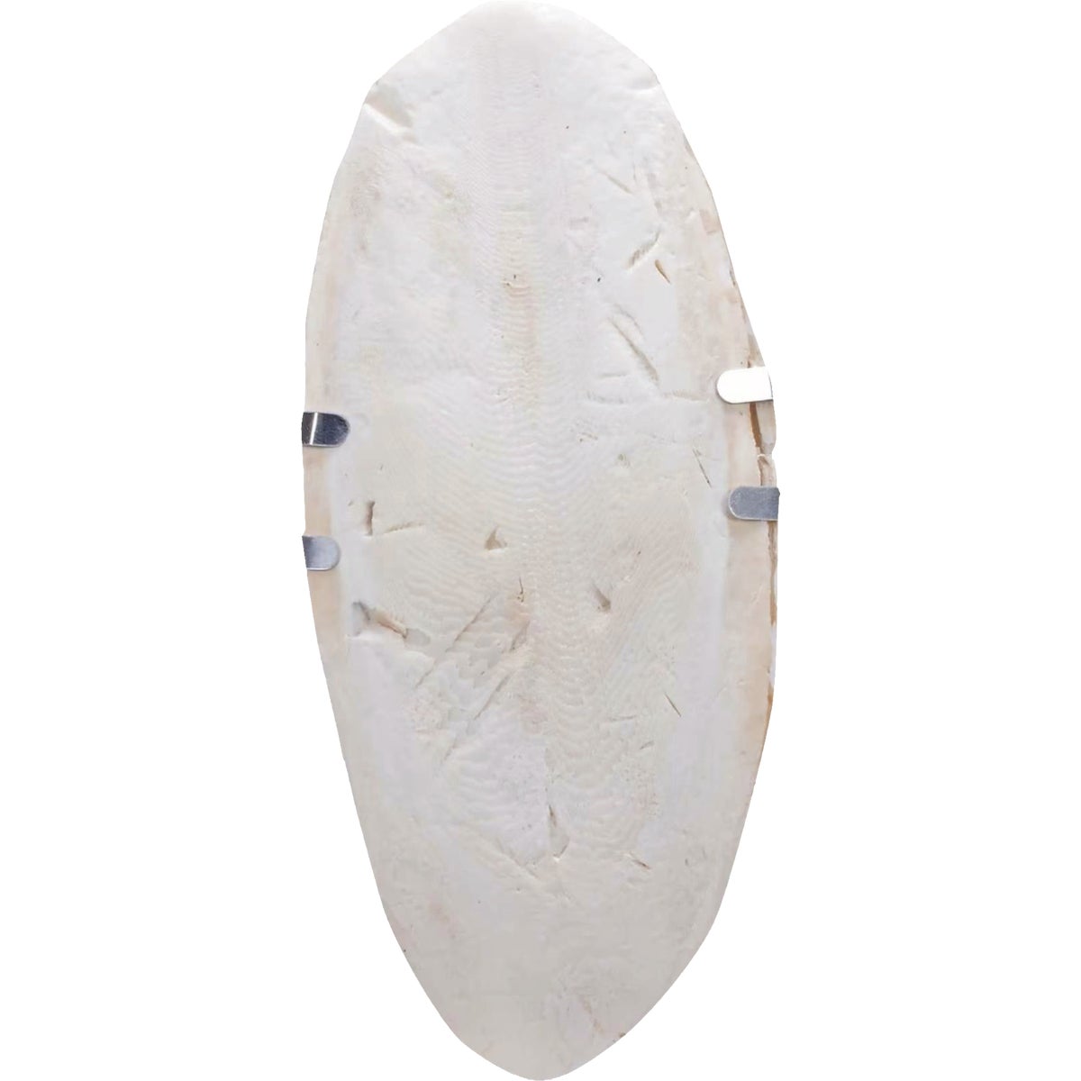Wild Harvest 1/2 Oz. Cuttlebone Image 2