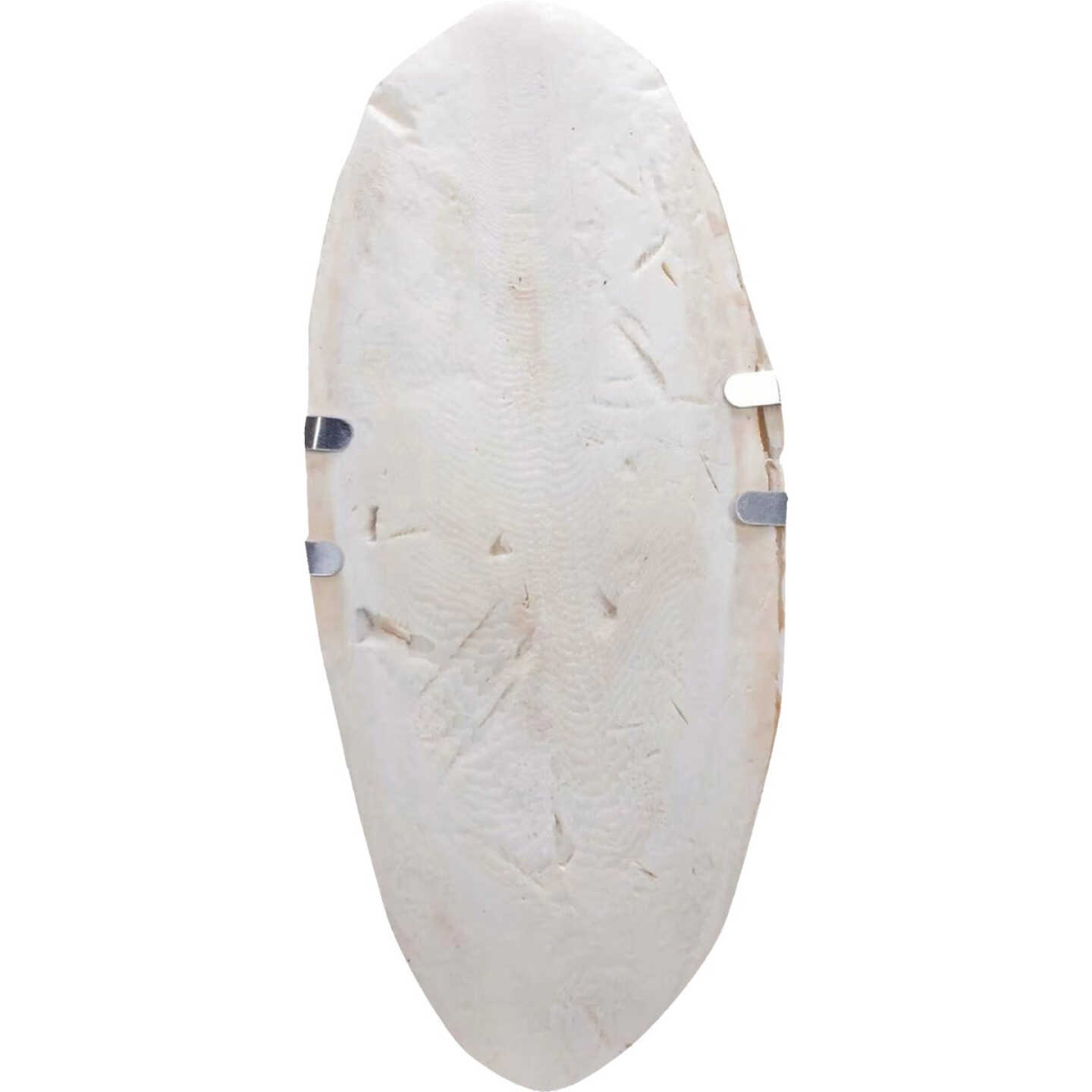 Wild Harvest 1/2 Oz. Cuttlebone Image 2