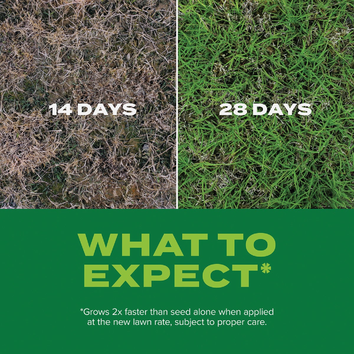 Scotts Turf Builder Rapid Grass 8 Lb. 3000 Sq. Ft. Bermudagrass Seed & Fertilizer Combination Image 4