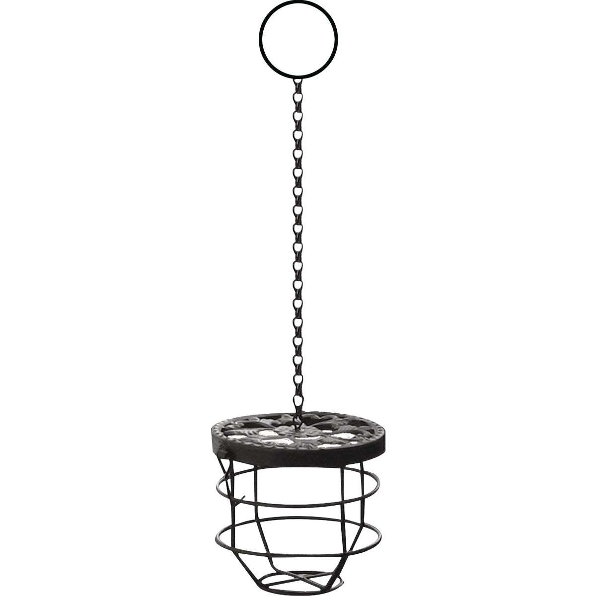 My Backyard Farm Chicken Treat Holder