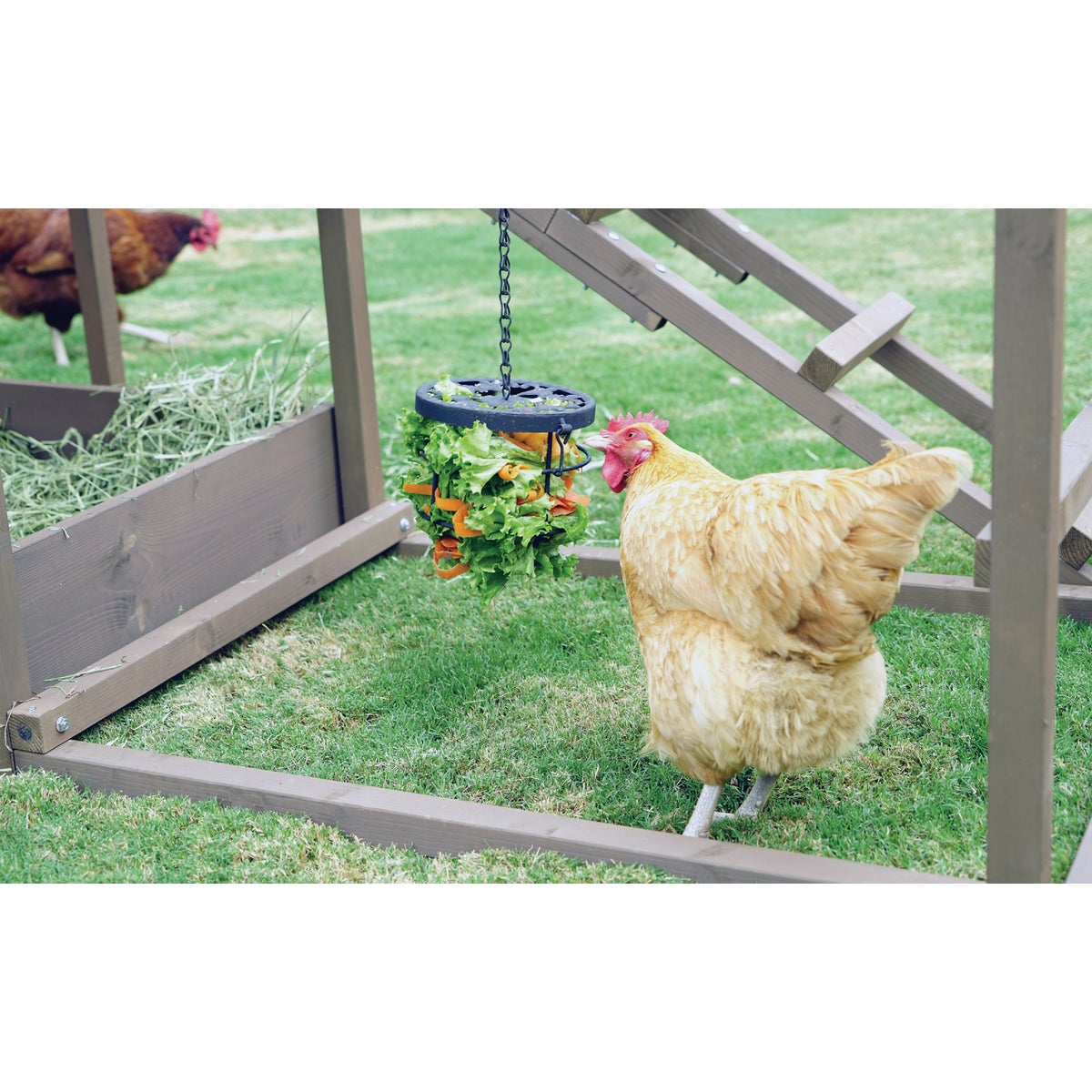 My Backyard Farm Chicken Treat Holder Image 2