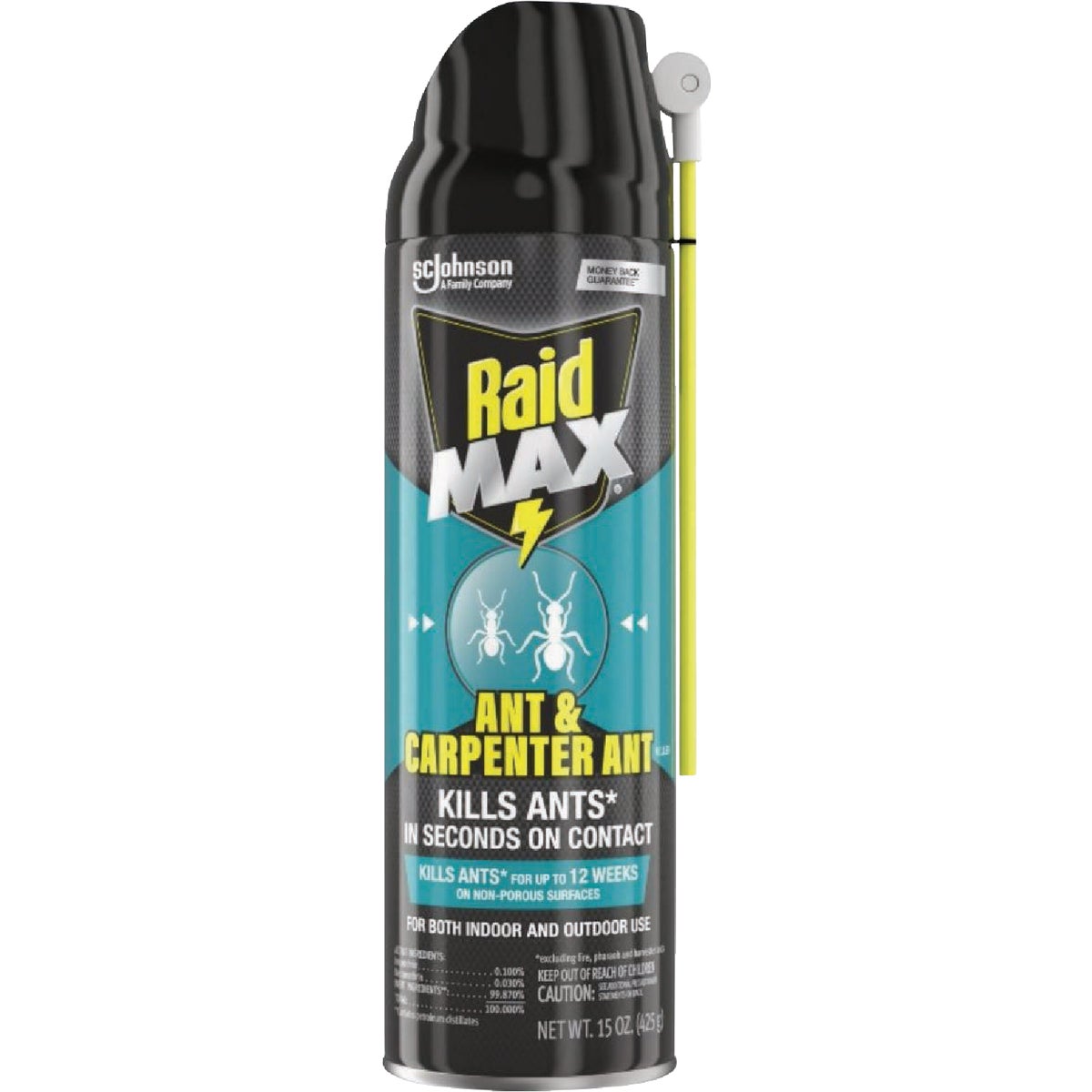 Raid MAX Ant & Carpenter Killer 15 Oz. Aerosol Spray Insect Killer