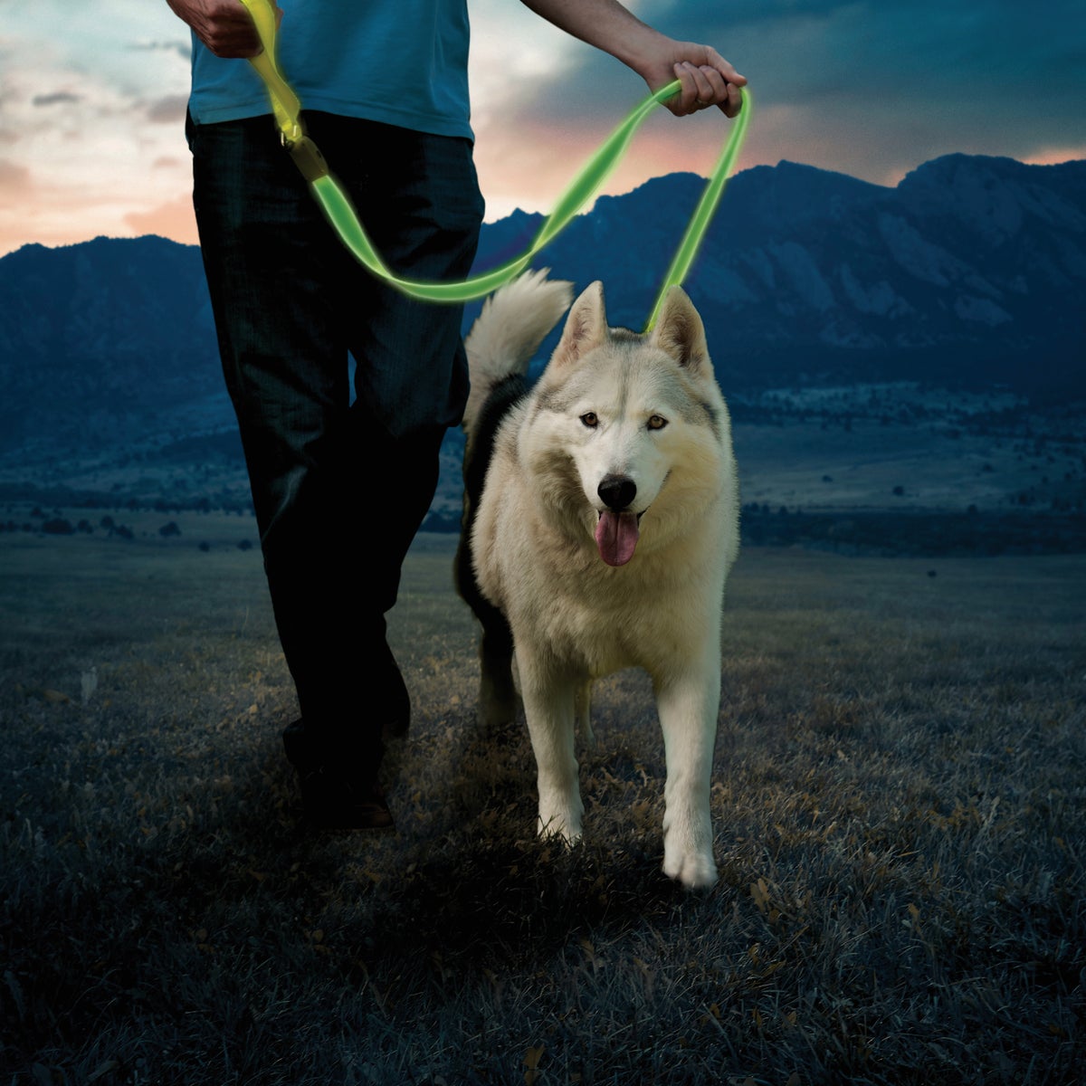 Nite Ize NiteDog Lime Greem LED Rechargeable LED Leash Image 2