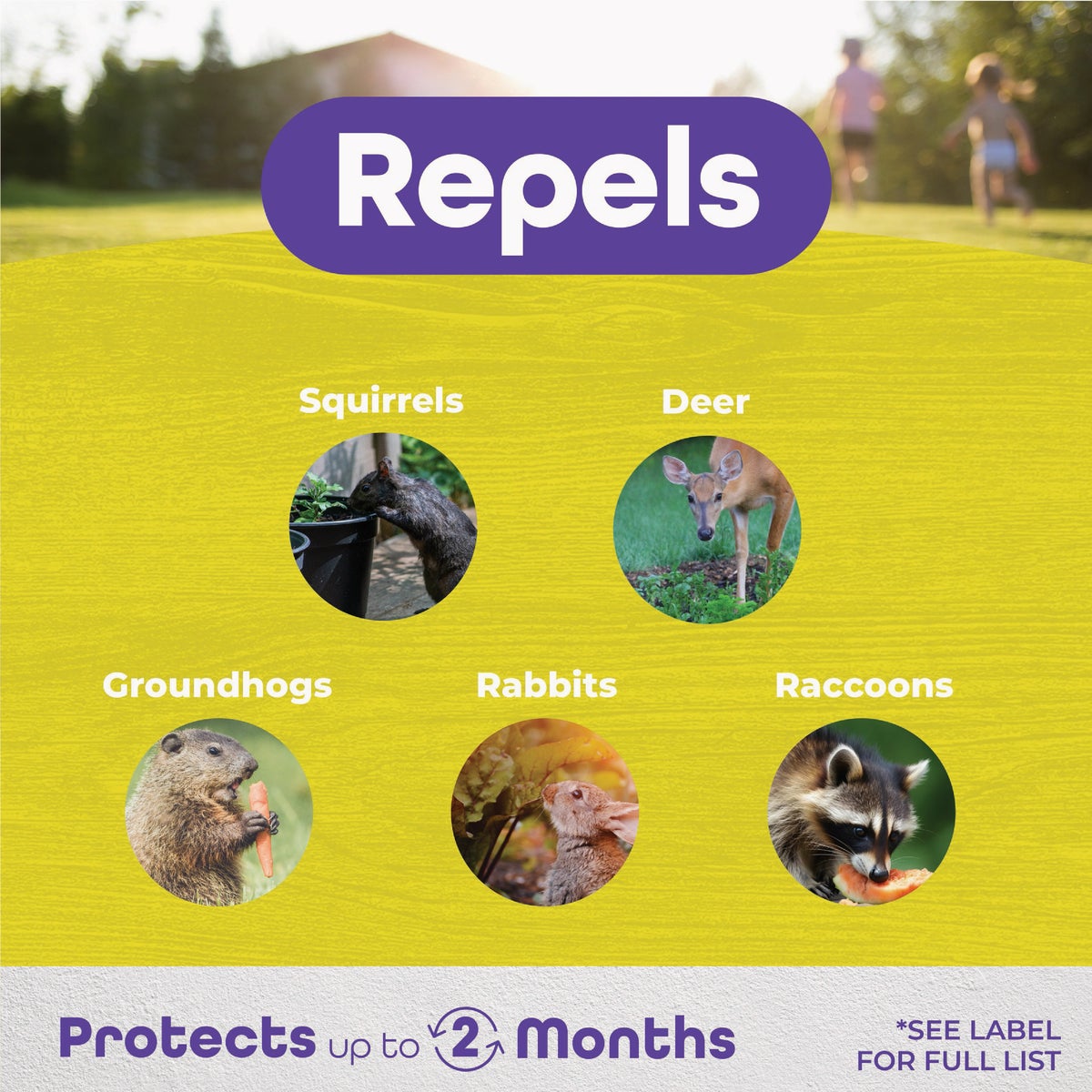 Bonide 1.25 Lb. Repels-All Animal Repellent Granules, Ready-to-Use Image 3