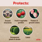 Garden Tech Sevin 16 Oz. Concentrate Insect Killer Image 6