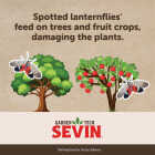 Garden Tech Sevin 16 Oz. Concentrate Insect Killer Image 3