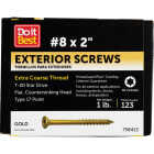 Do it #8 x 2 In. Gold Star Bugle-Head Wood Exterior Screw (1 Lb. Box) Image 1