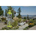 Rescue WHY Reusable Wasp, Hornet, & Yellow Jacket Trap Image 4