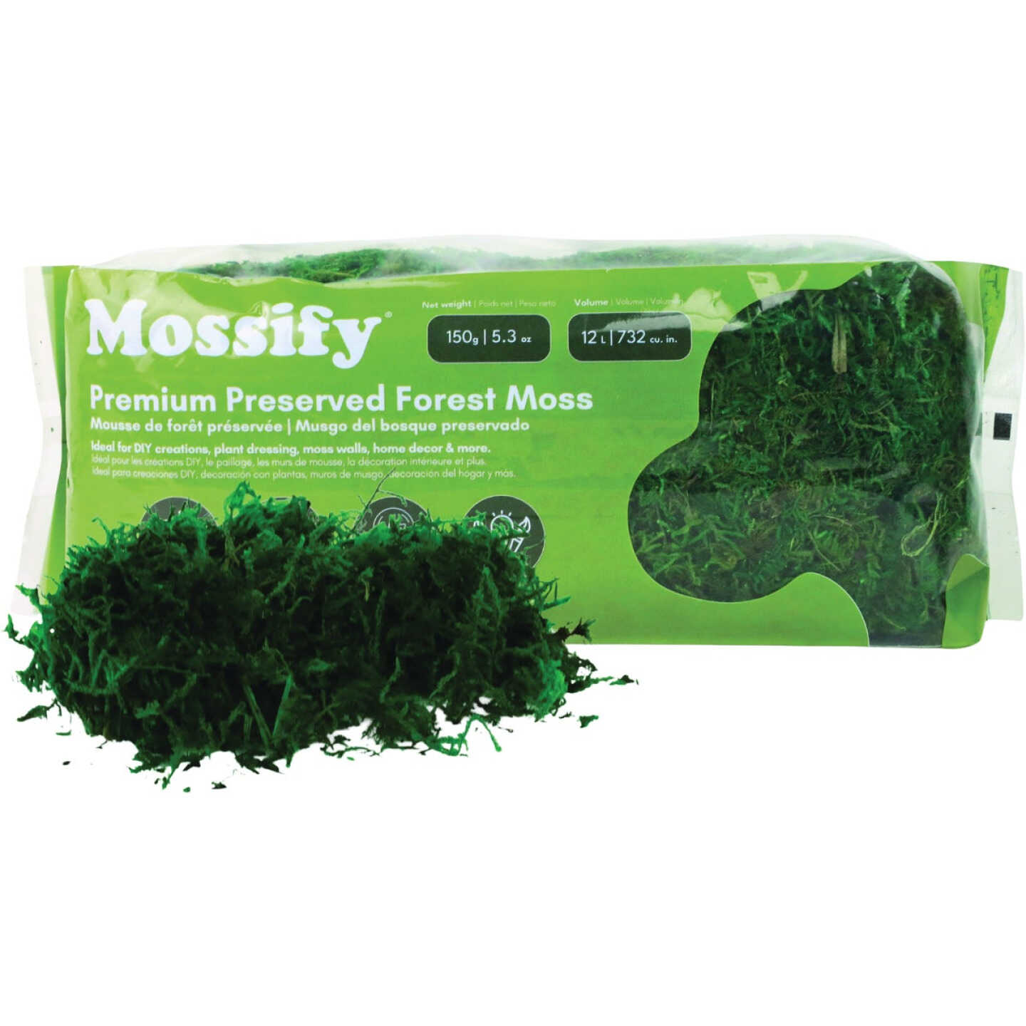 Mossify 5.3 Oz. Premium Preserved Forest Moss Image 1