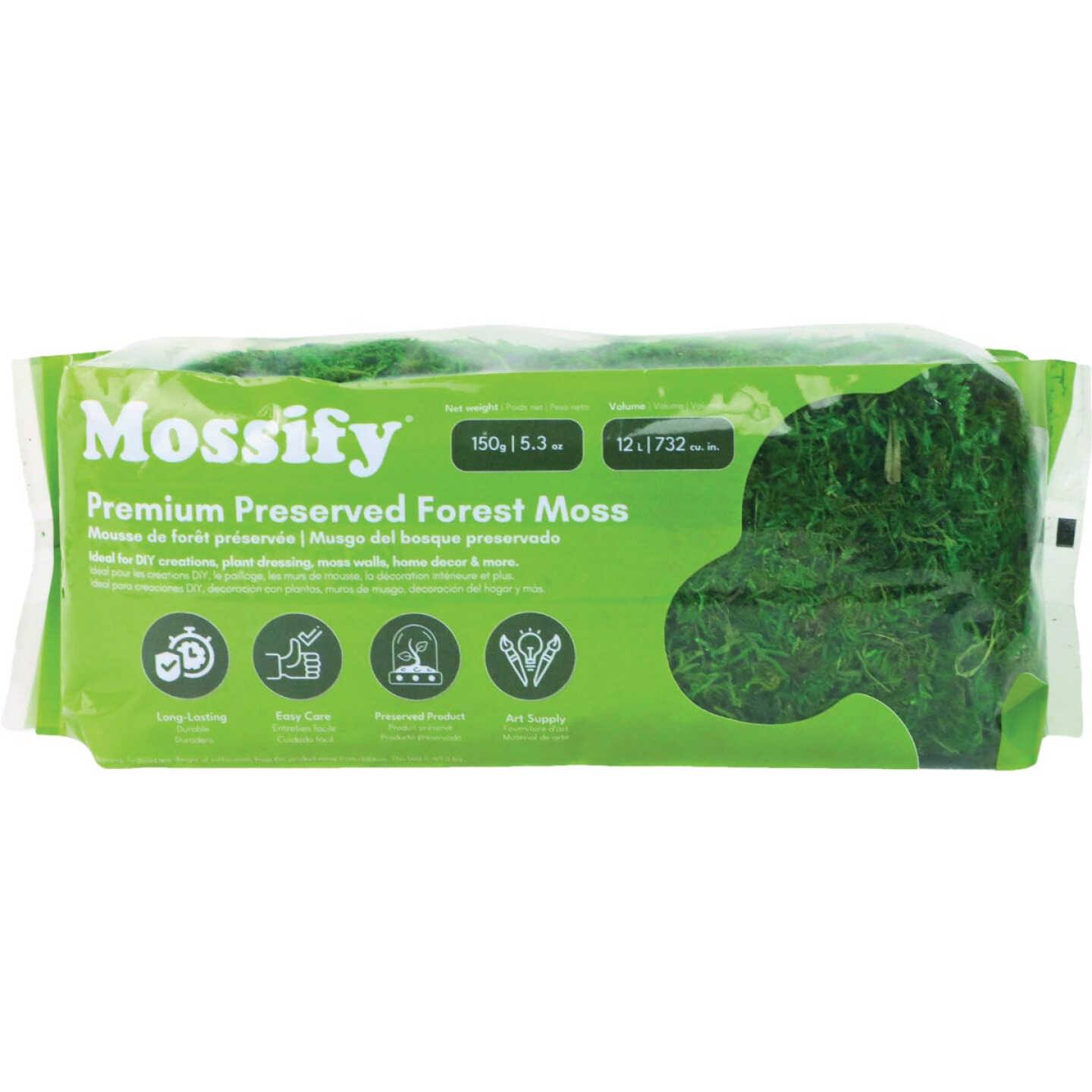 Mossify 5.3 Oz. Premium Preserved Forest Moss Image 2