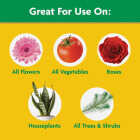 Miracle-Gro 10 Lb. Water Soluble All Purpose Plant Food Image 4