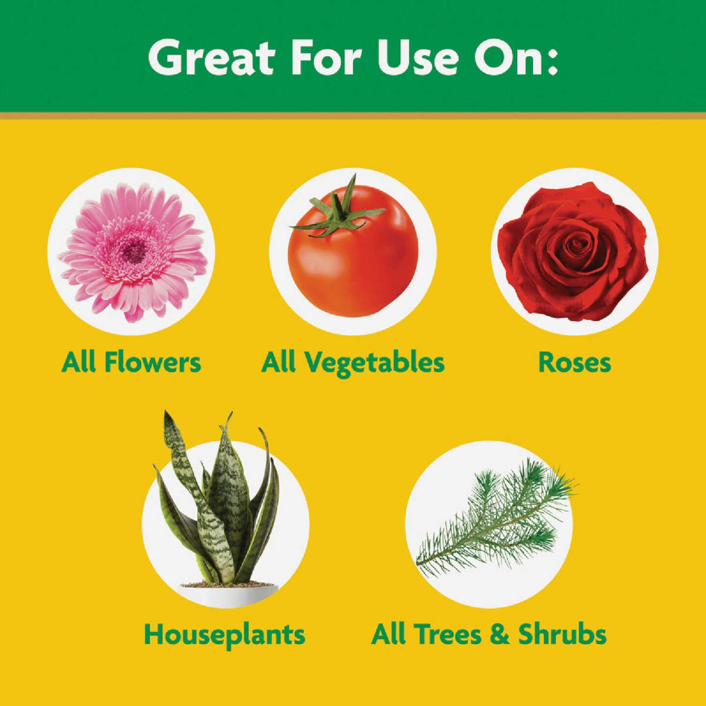 Miracle-Gro 10 Lb. Water Soluble All Purpose Plant Food Image 4