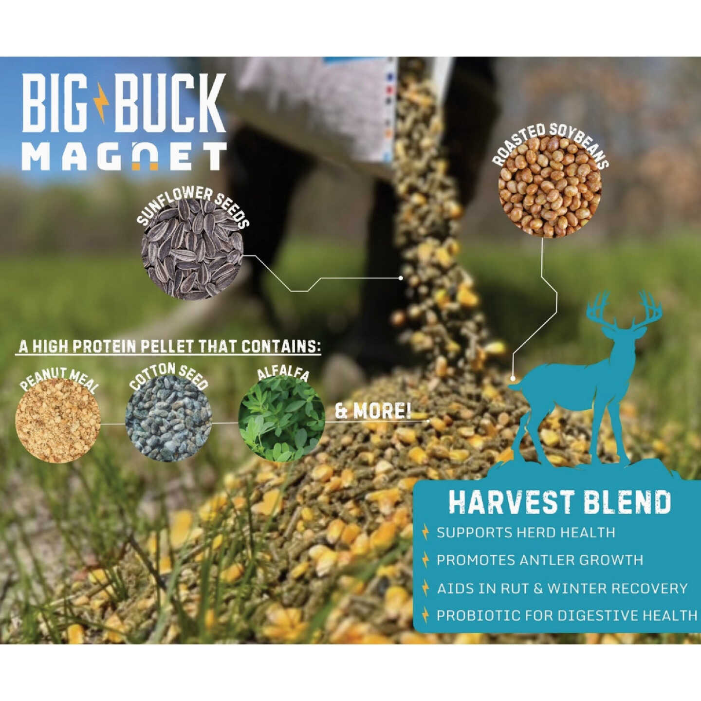 Big Buck Magnet The Harvest Blend 40 Lb. Deer Feed Image 4