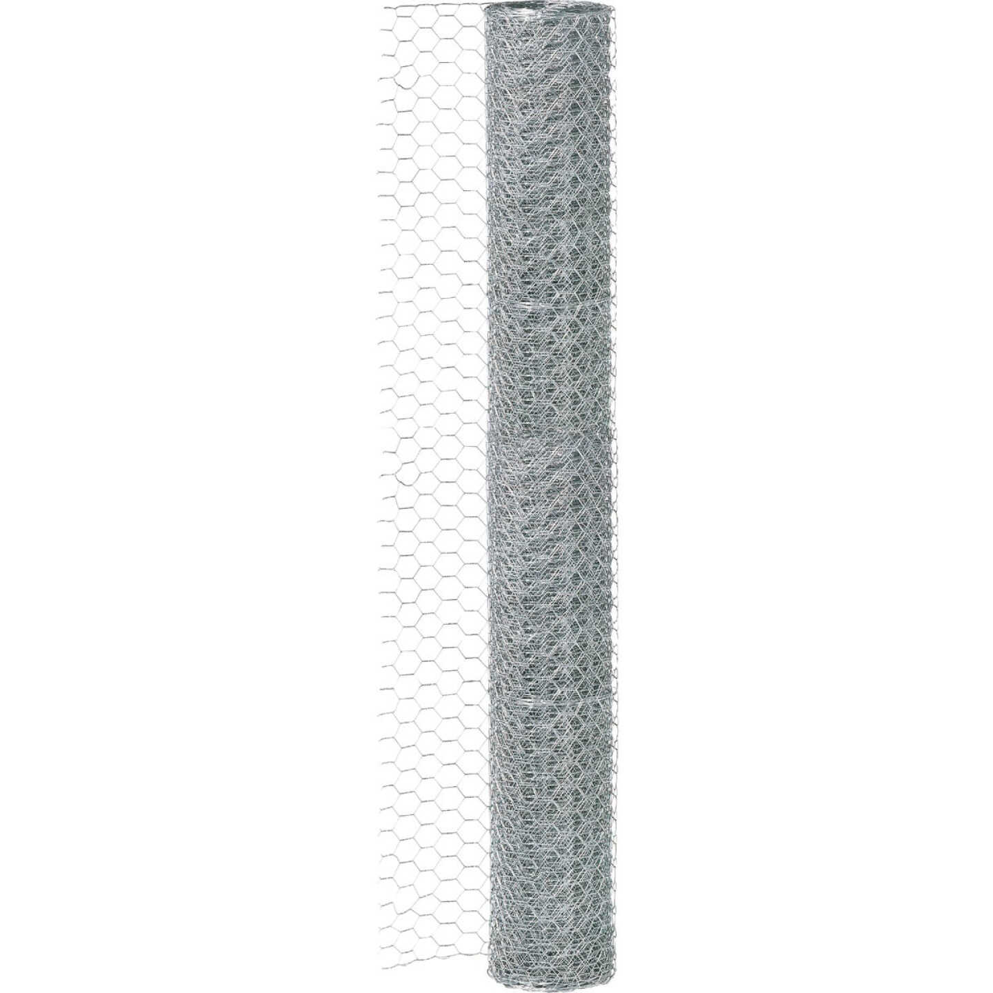 1/2 In. x 24 In. H. x 10 Ft. L. Hexagonal Wire Poultry Netting Image 3